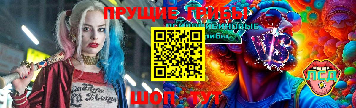 Галлюциногенные грибы Magic Shrooms  Вход с VPN  что такое наркотик  Чехов 