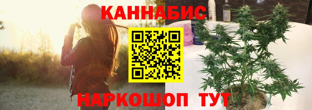Бошки марихуана White Widow  Бошки Шишки тримм  Чехов  Вход с VPN 